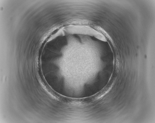 X0000087550581200705112123