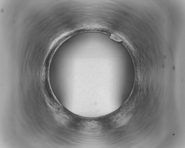 X0000087550583200705112123