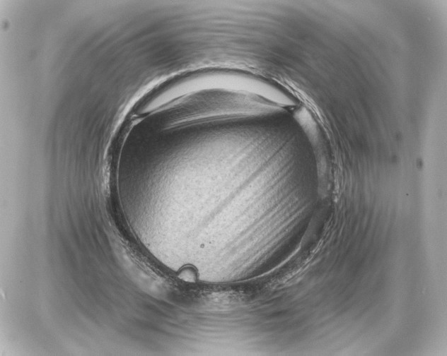 X0000087550584200705112123