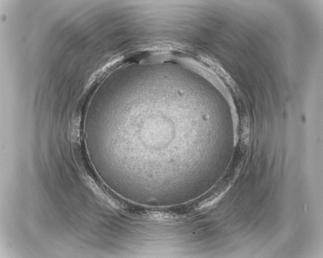 X0000087550585200705112123