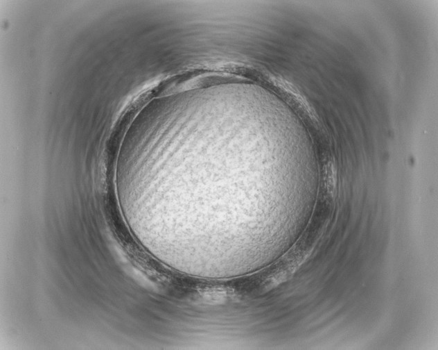 X0000087550587200705112123