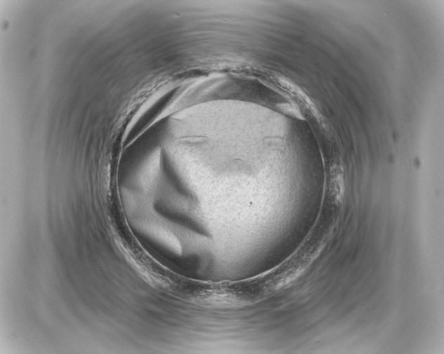 X0000087550589200705112123