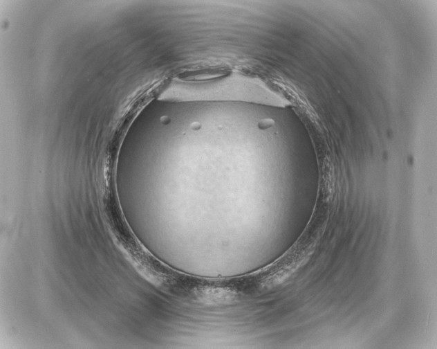 X0000087550590200705112123