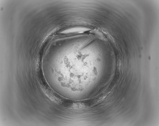 X0000087550591200705112123