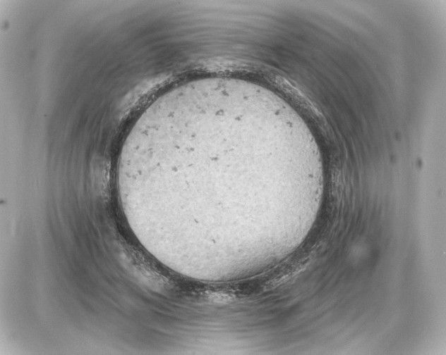 X0000087550592200705112123