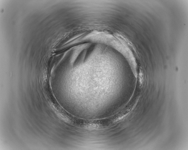 X0000087550593200705112123