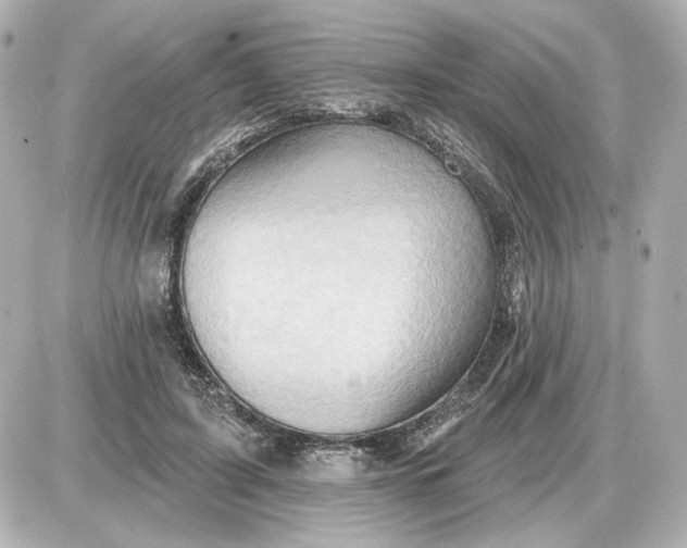 X0000087550595200705112123