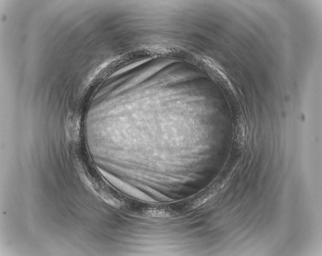 X0000087550596200705112123