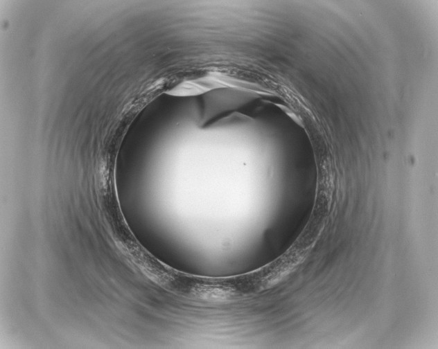 X0000087550597200705112123