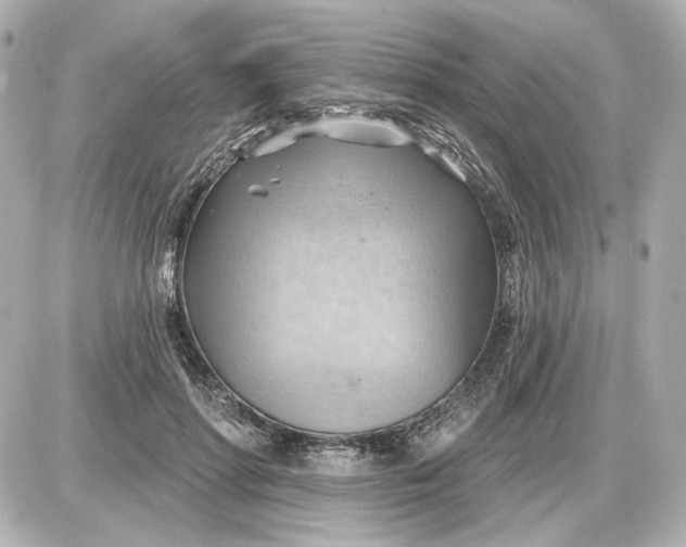 X0000087550598200705112123