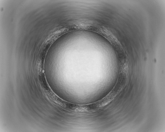 X0000087550599200705112123