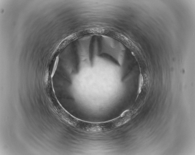 X0000087550600200705112123