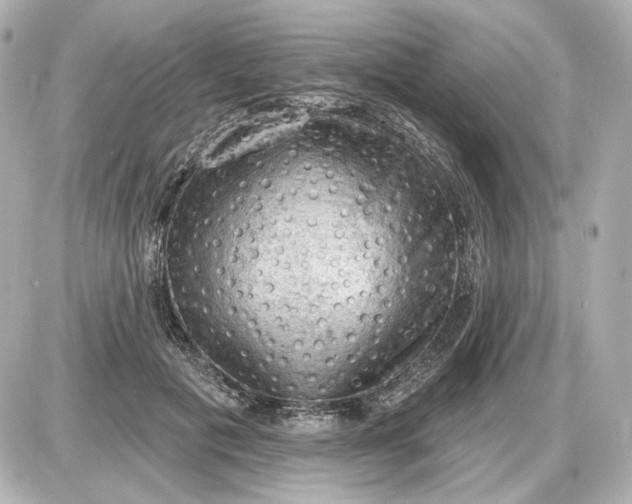 X0000087550601200705112123