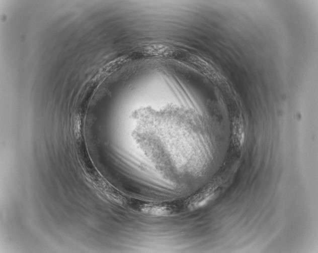 X0000087550602200705112123