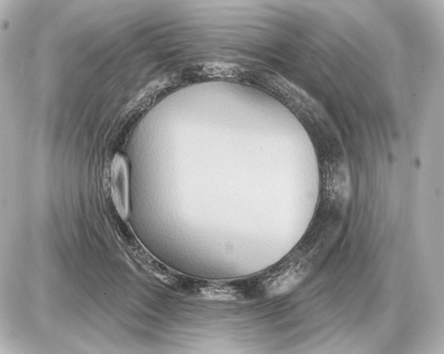 X0000087550603200705112123