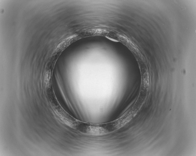 X0000087550605200705112123