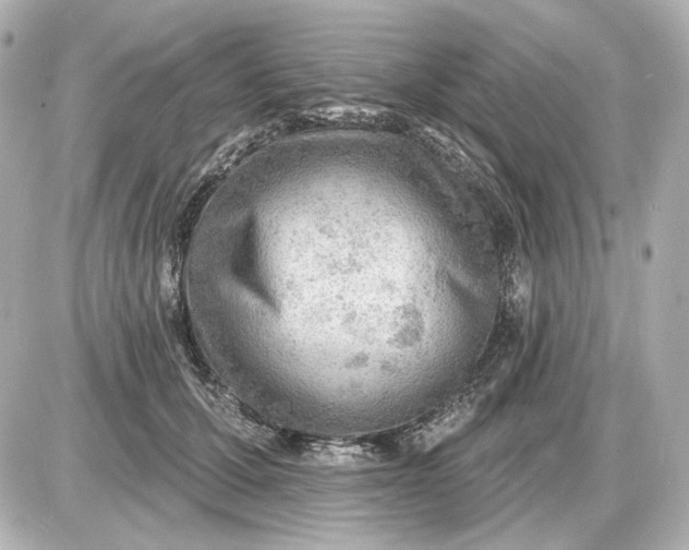 X0000087550607200705112123