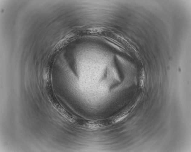 X0000087550608200705112123