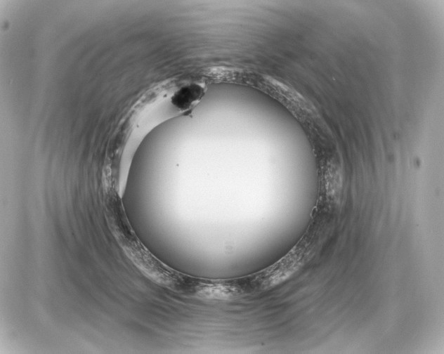 X0000087550611200705112123