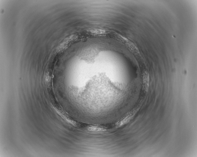 X0000087550614200705112123