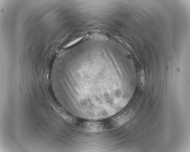 X0000087550615200705112123