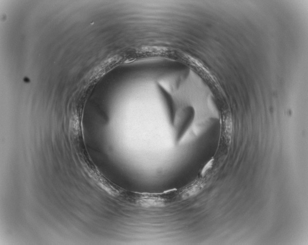 X0000087550617200705112123