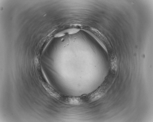 X0000087550618200705112123