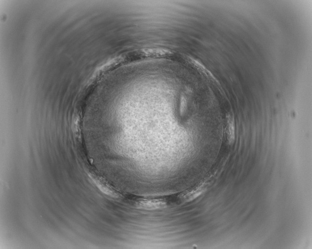 X0000087550619200705112123