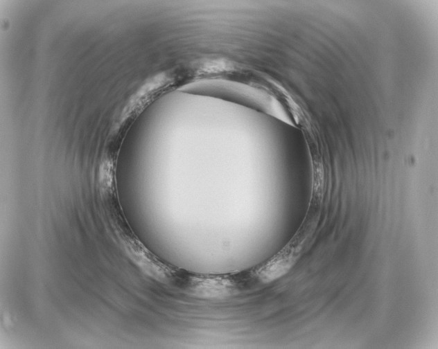 X0000087550621200705112123