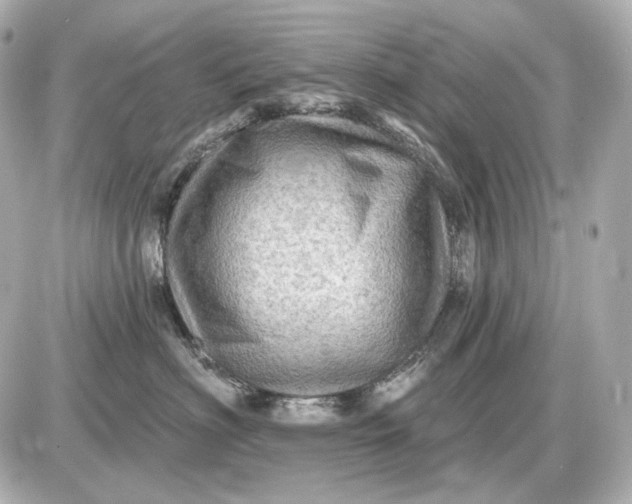 X0000087550622200705112123