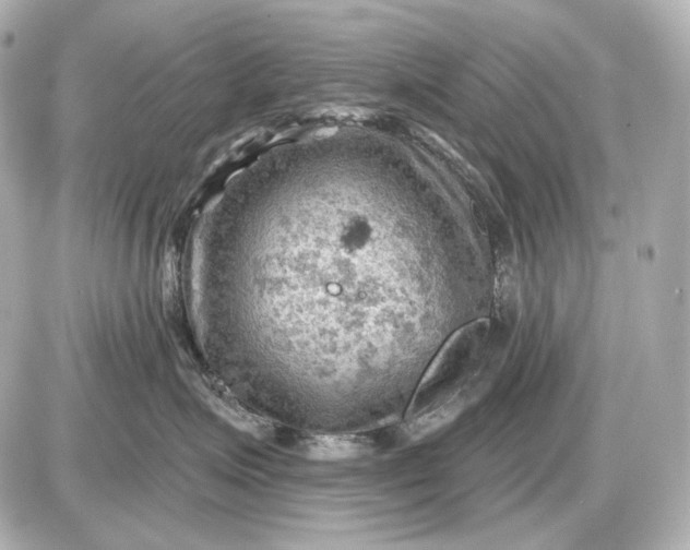 X0000087550623200705112123