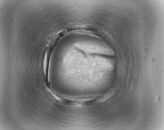 X0000087550624200705112123