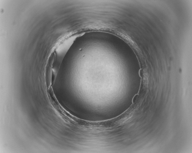 X0000087550626200705112122