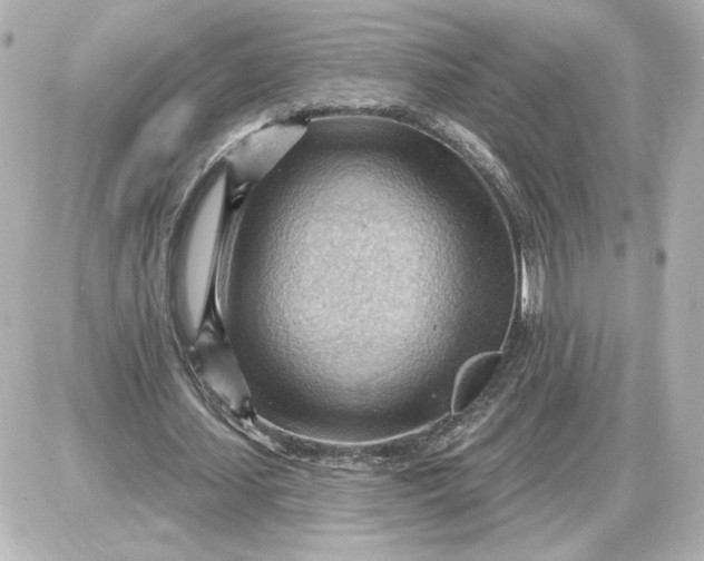 X0000087550627200705112122