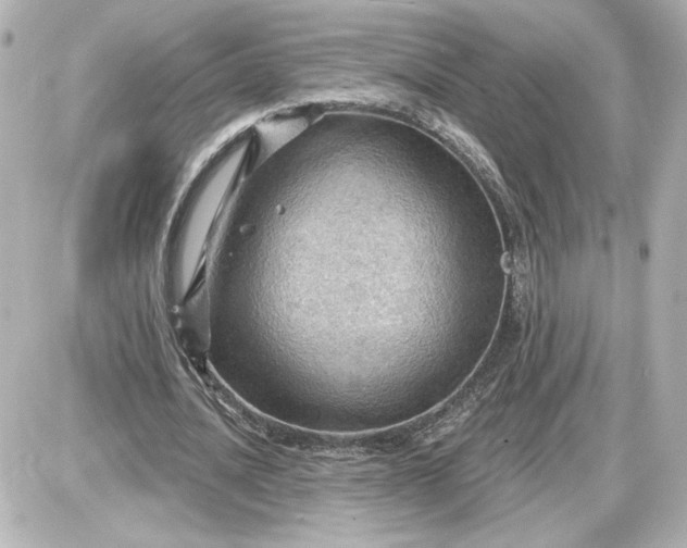 X0000087550628200705112122