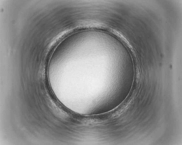 X0000087550629200705112122