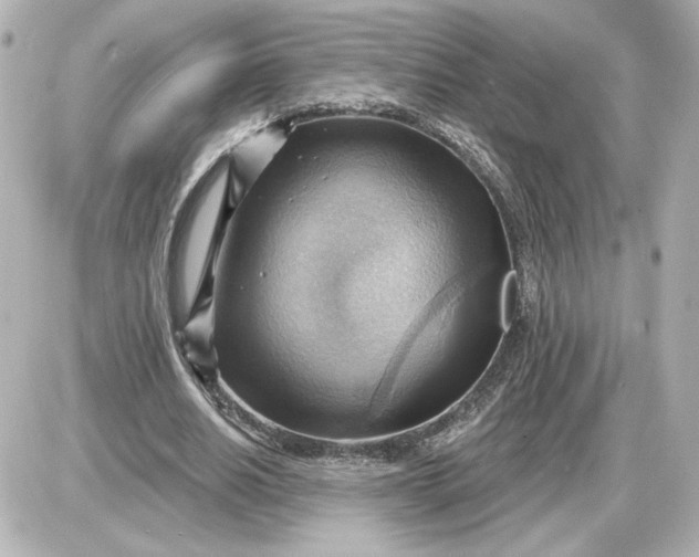 X0000087550630200705112122