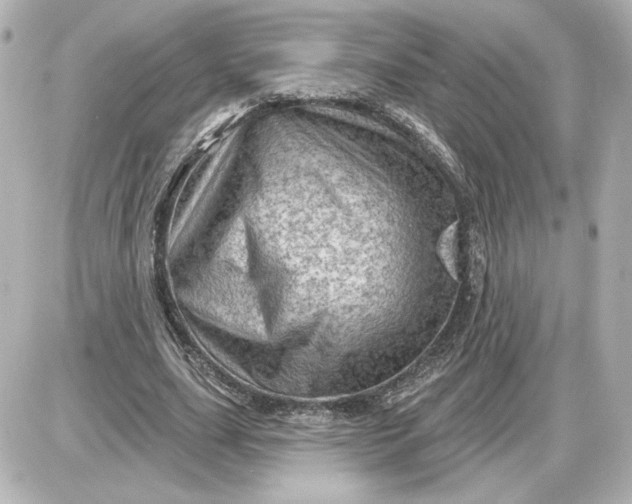 X0000087550631200705112122