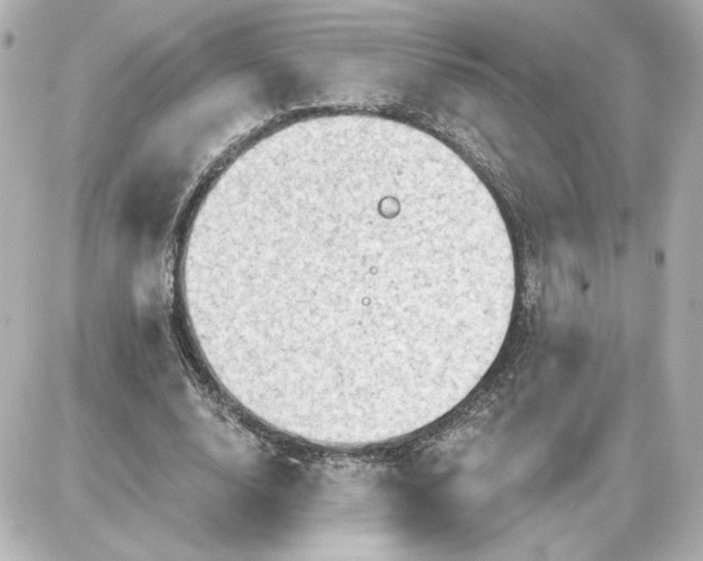 X0000087550632200705112122