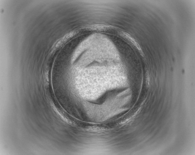 X0000087550633200705112122