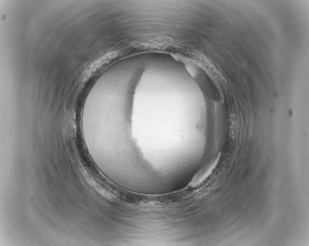 X0000087550634200705112122