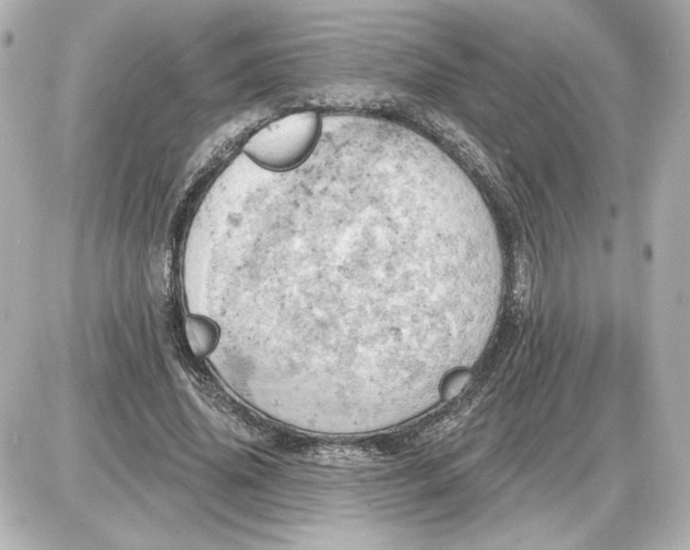 X0000087550636200705112122