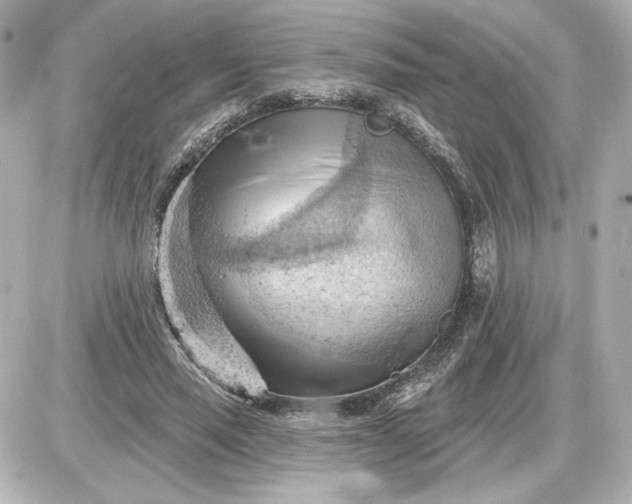 X0000087550637200705112122