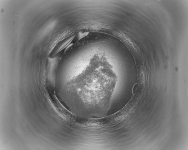 X0000087550638200705112122