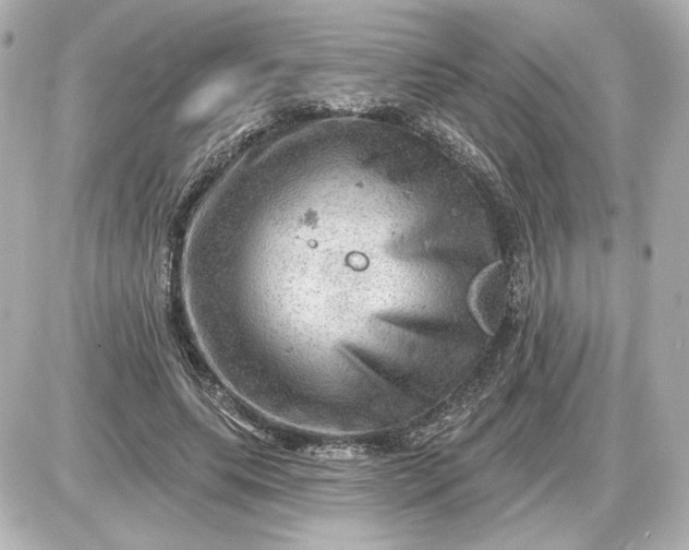 X0000087550639200705112122