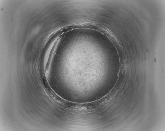 X0000087550640200705112122