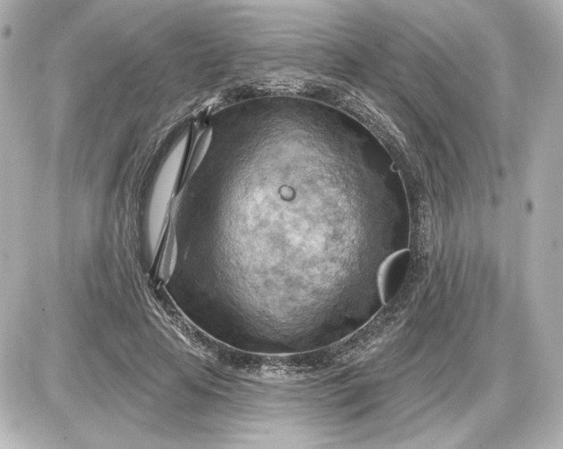 X0000087550641200705112122