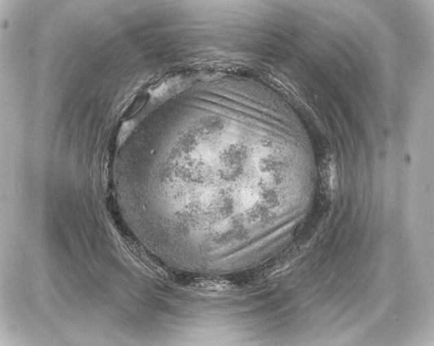 X0000087550642200705112122