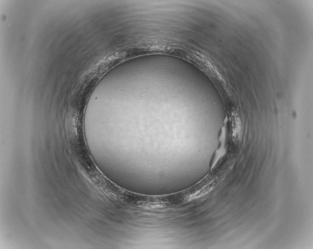 X0000087550643200705112122