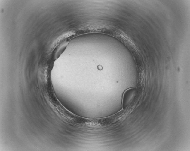 X0000087550644200705112122